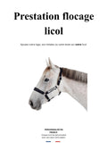 Prestation – Flocage sur ton licol
